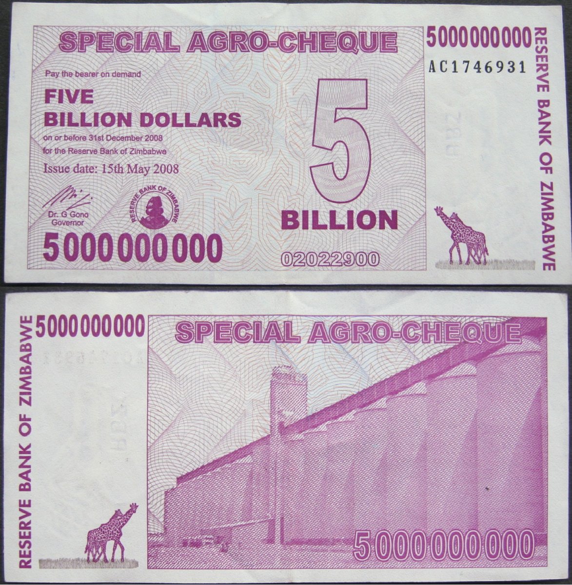Hyperinflation-Notes