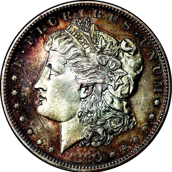 Proof-Like-Or-Proof-Morgan-Dollar-Thread