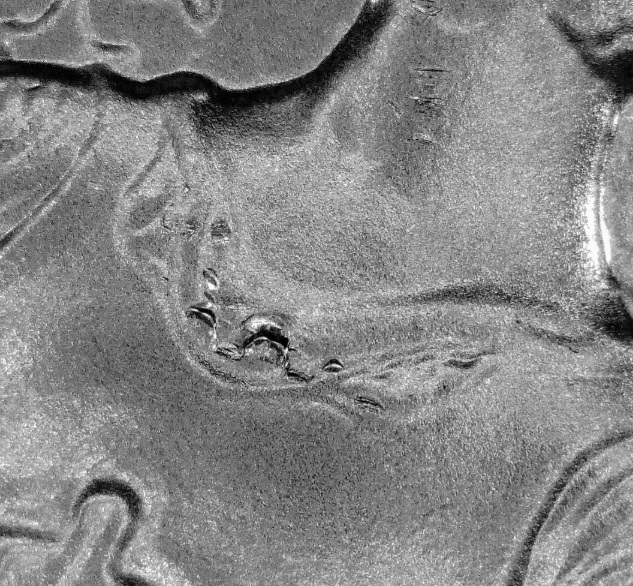 2024-Bullion-ASE-Star-Privy-With-Minor-Spiked-Head/Anomaly/Reed-Marks-Thru-Head-Of-Liberty-Errors!