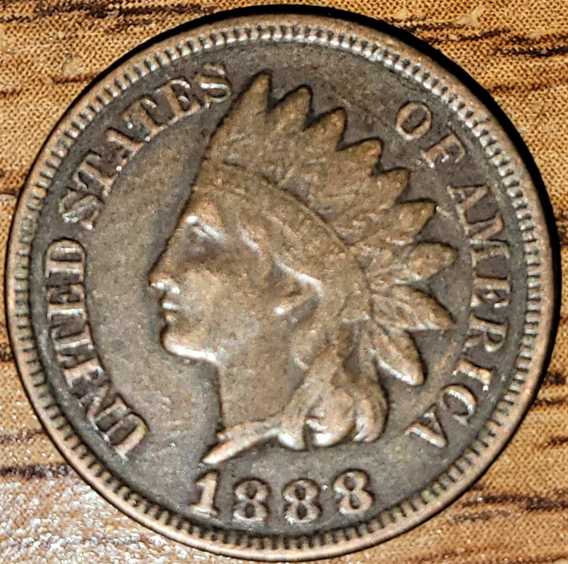 Is-This-A-Basic-1888-Indian-Head?