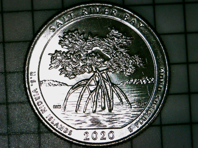 2020-D-Quarter----Die-Deterioration-/Struck-Through-Grease-Along-Edge?