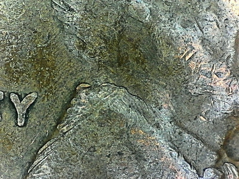 Strange-Markings-On-LWC---Overstrike?-Die-Clash?-Wild-Imagination?