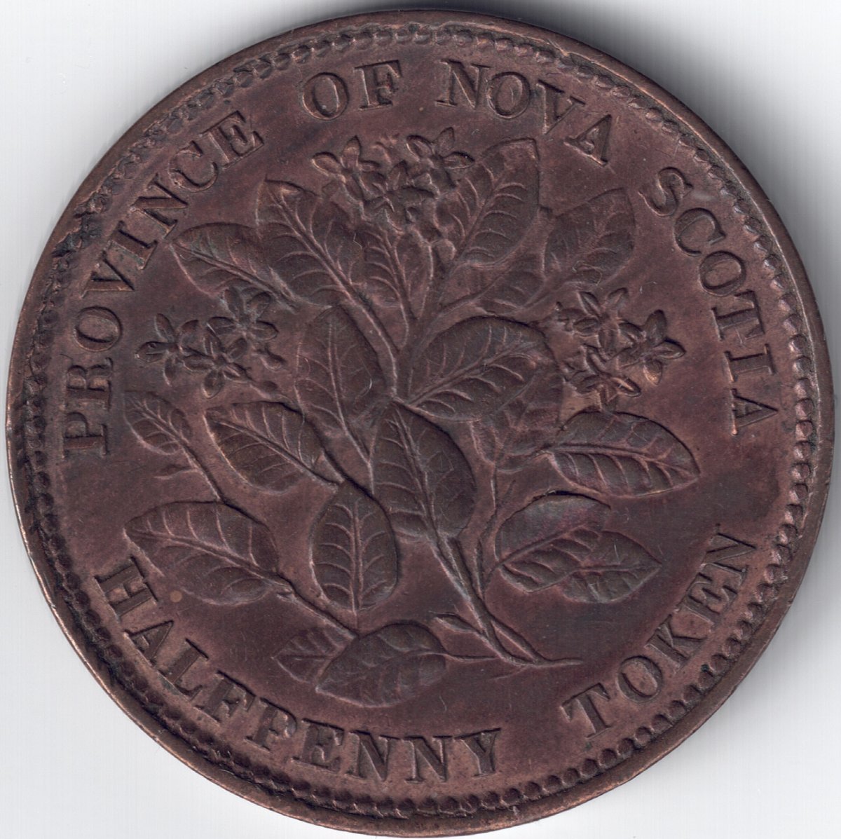 Post-Your-Canadian-Tokens