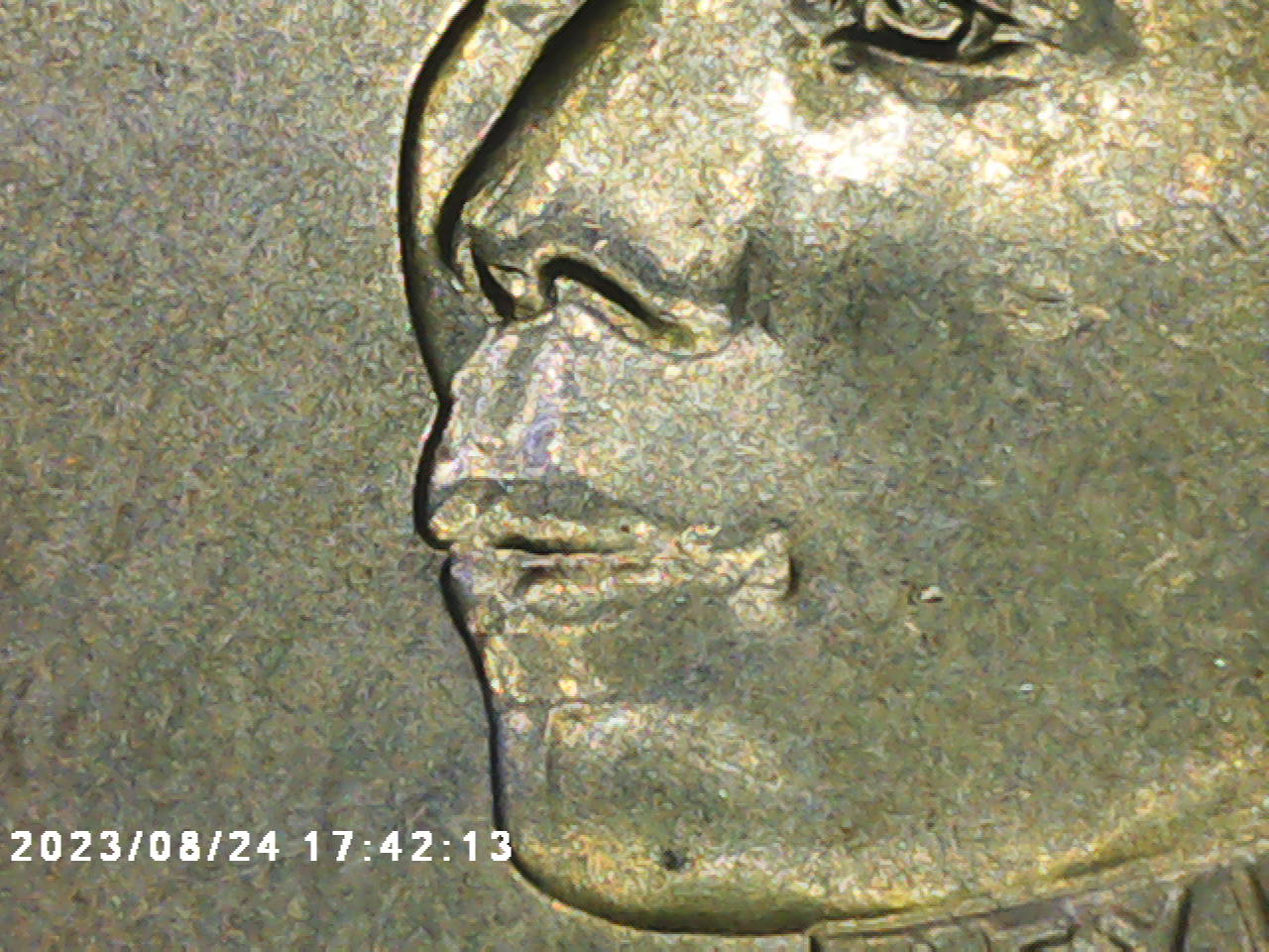 2023-P-Jovita-Idar-Quarter.looky-What-I-Found