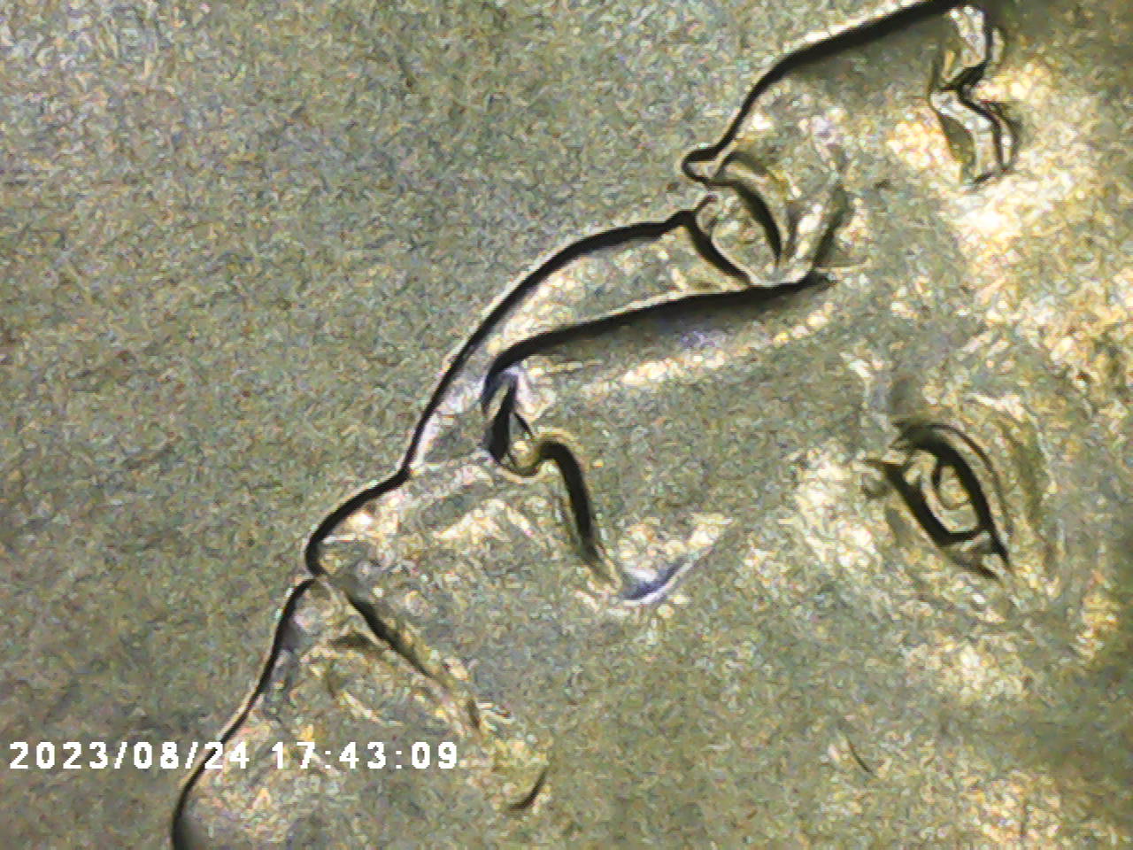 2023-P-Jovita-Idar-Quarter.looky-What-I-Found