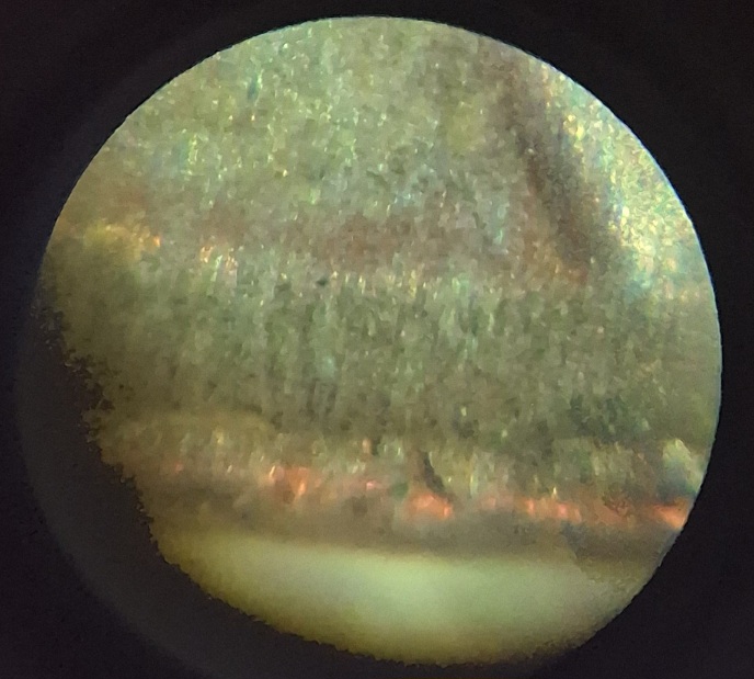 1964-P-Penny-No-VDB-At-All-Not-Faint-Not-Worn-Its-Never-Been-On-The-Coin-Even-Under-Microscope