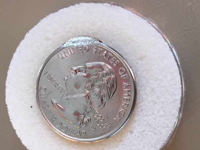 2000-D-Massachusetts-Quarter-Mint-Error
