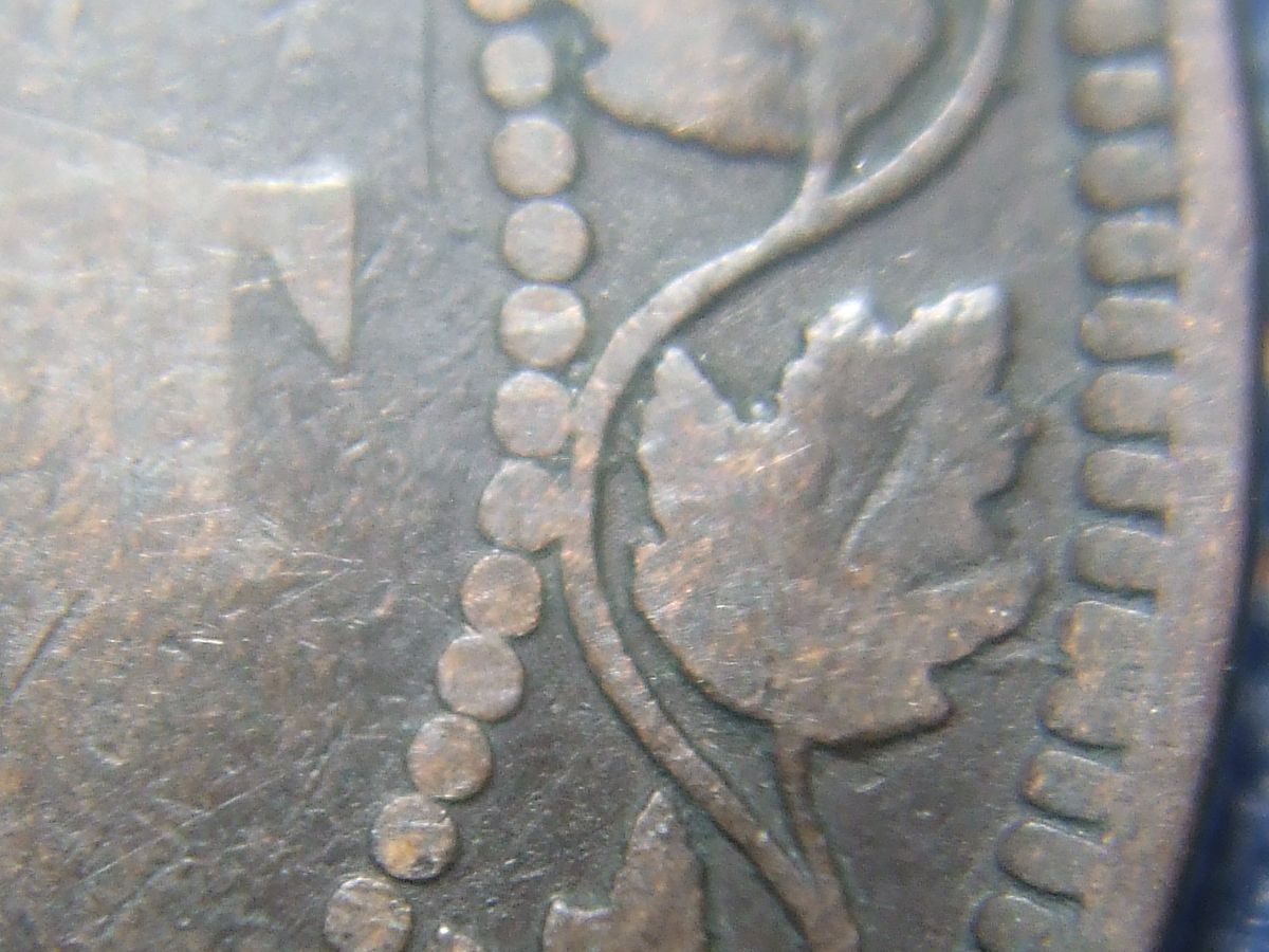 1891-Penny-Small-Date--Large-Leaves?
