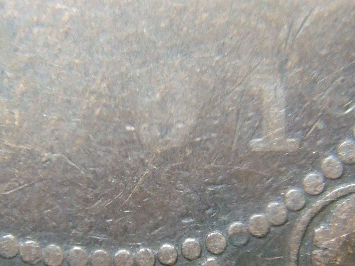 1891-Penny-Small-Date--Large-Leaves?