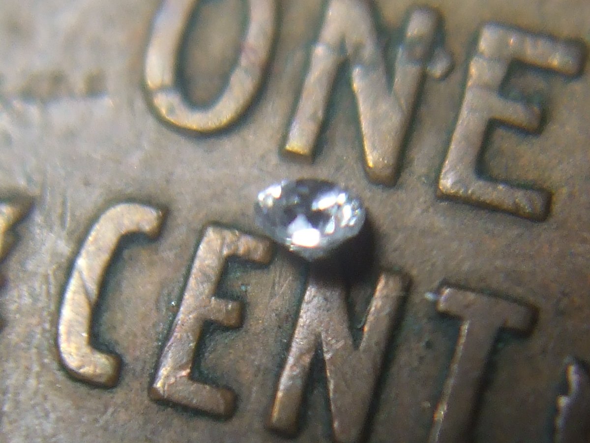 Found-A-Diamond-While-Searching-Rolls-Of-Canadian-Pennies