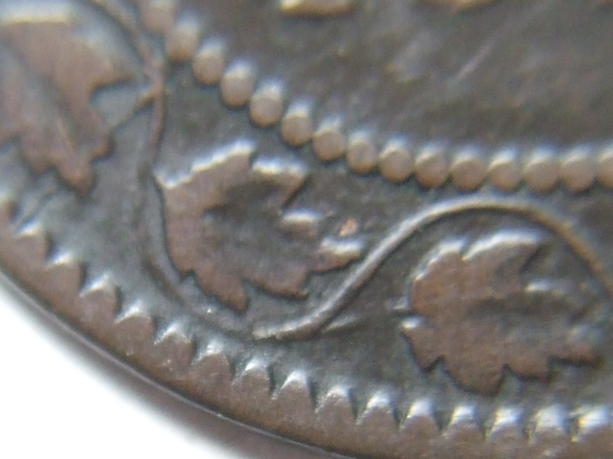 Guess-The-Haxby-1859-Large-Cent-Variety-Game