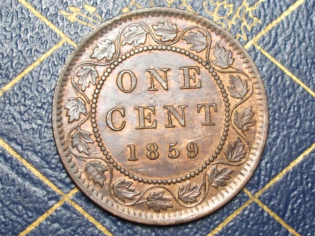 Help-Grade-This-1859-Pc-244-With-Die-Clash-9-Under-Chin