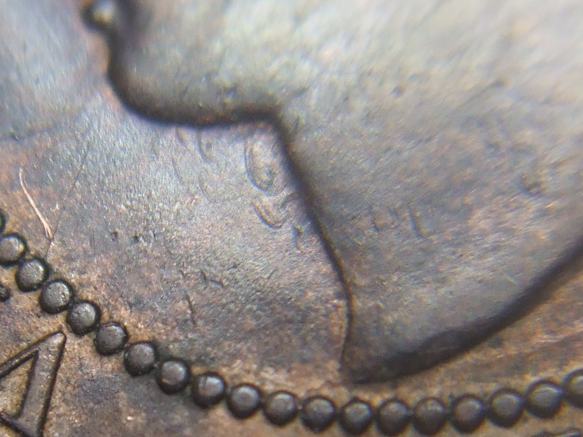 Help-Grade-This-1859-Pc-244-With-Die-Clash-9-Under-Chin