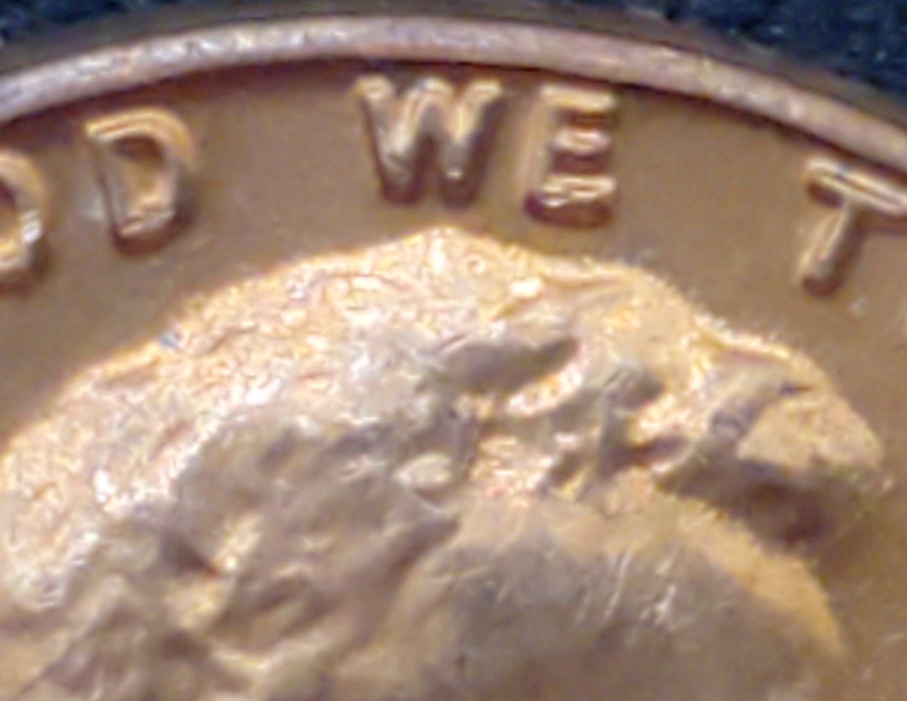 1982-P-Lincoln-Cent-Could-Be-DDO?