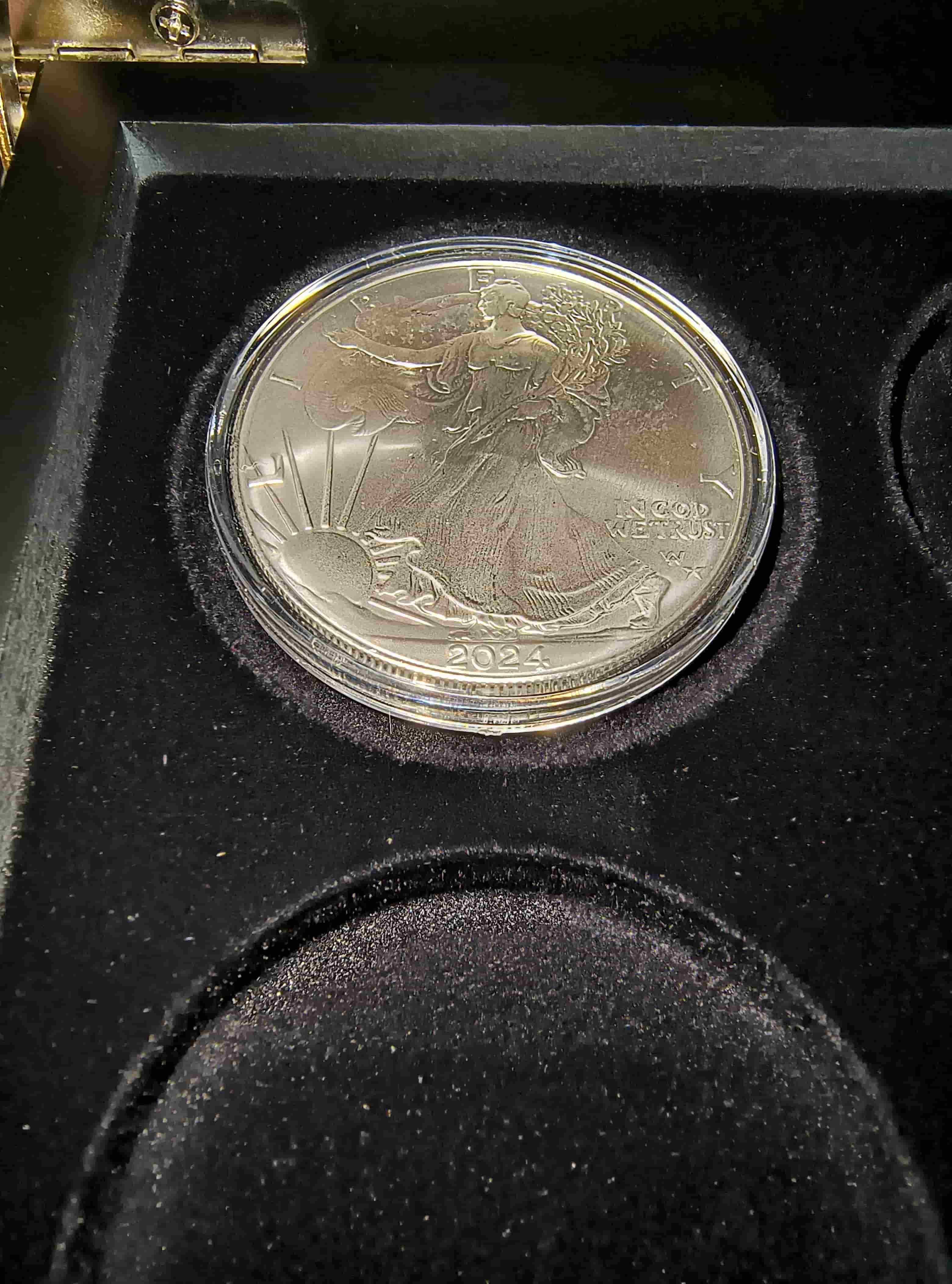 Starting-My-Second-ASE-Bullion-Case