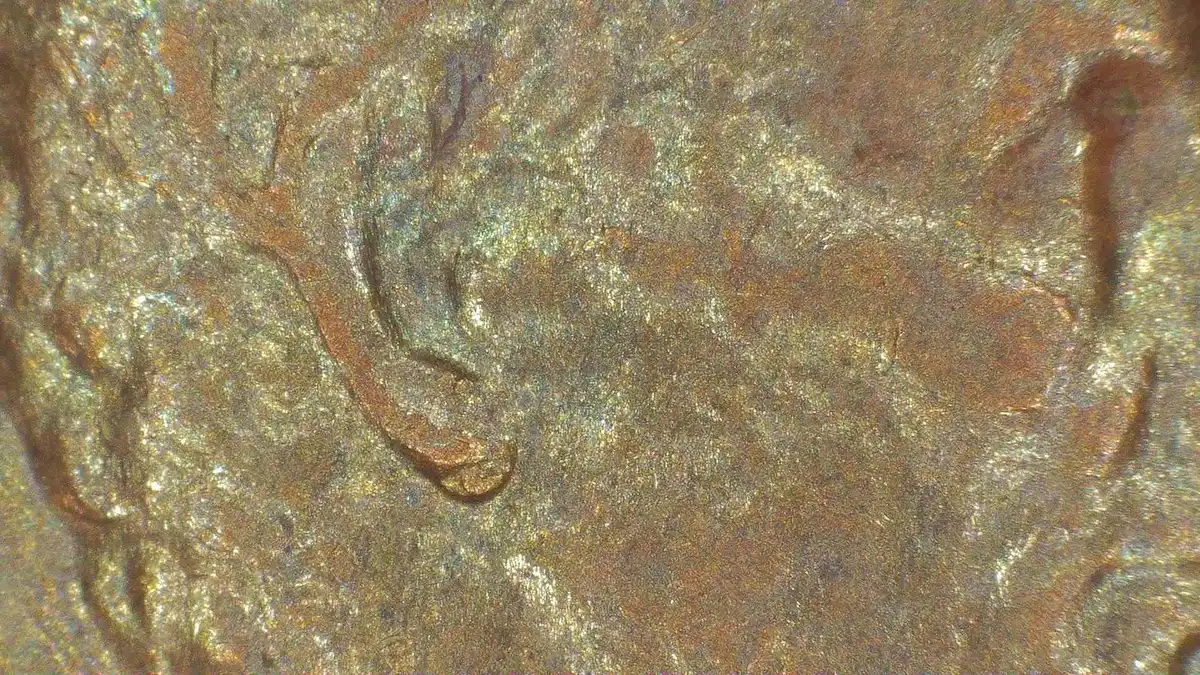 1982-P-Lincoln-Penny-Small-Date-Double-Ear?