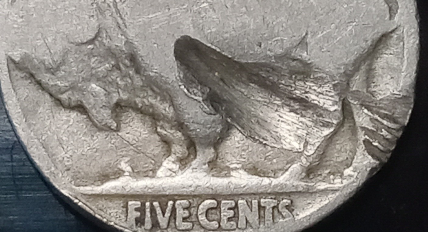 4-Buffalo-Nickles.-Not-100%-Sure-On-Dates.