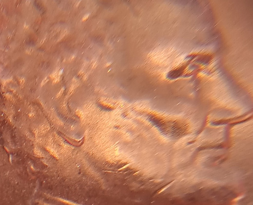 2021-D-Shield-Penny-Possible-Double-Ear-Error?