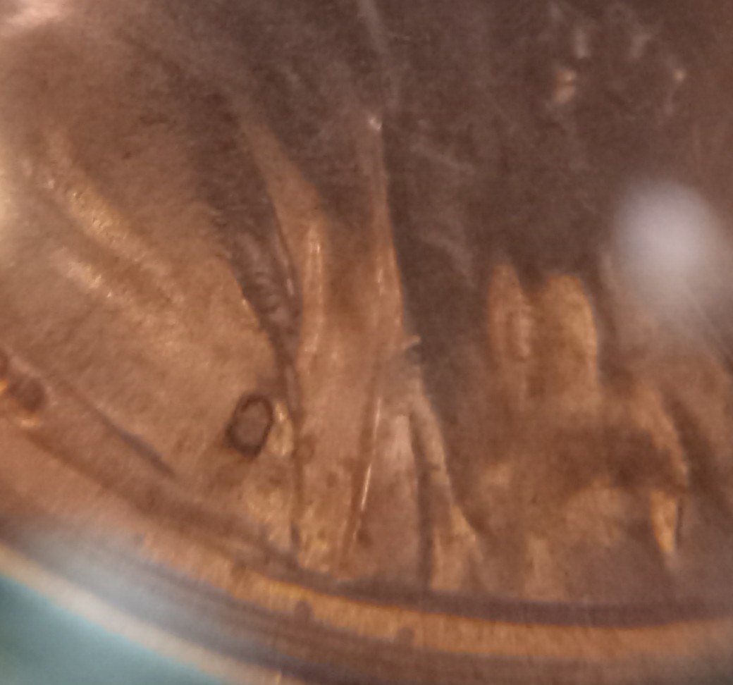 *different*-2021-D-Shield-Penny-Die-Chip?