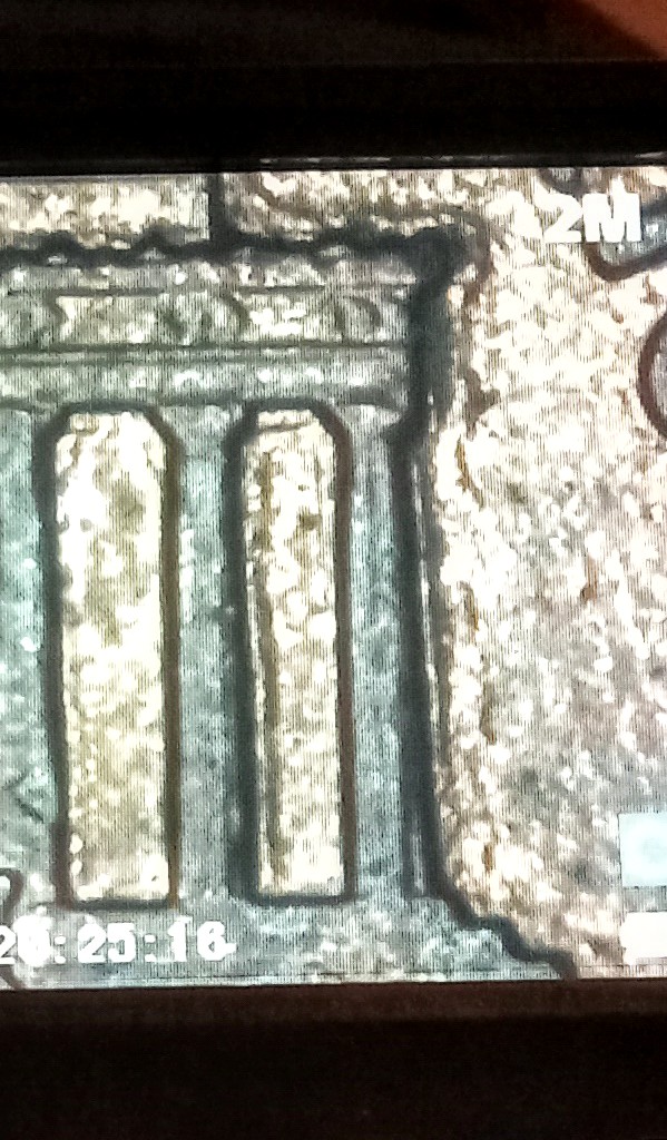 1991-D-Penny-With-Extra-Column?