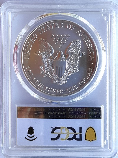Continuing-List-To-Show-Everyones-Latest-Acquisitions