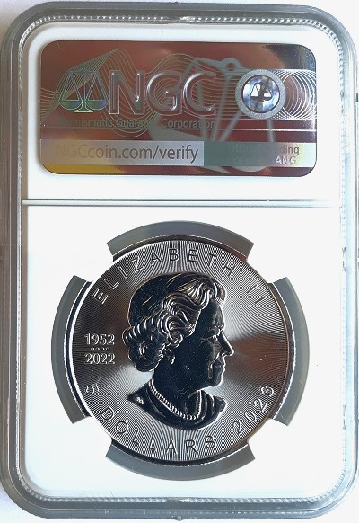 Continuing-List-To-Show-Everyones-Latest-Acquisitions