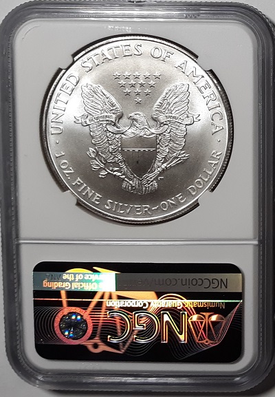Continuing-List-To-Show-Everyones-Latest-Acquisitions
