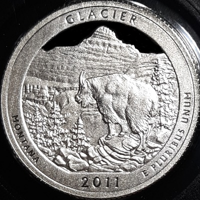 Post-Your-Coins-Representing-The-Animal-Kingdom.