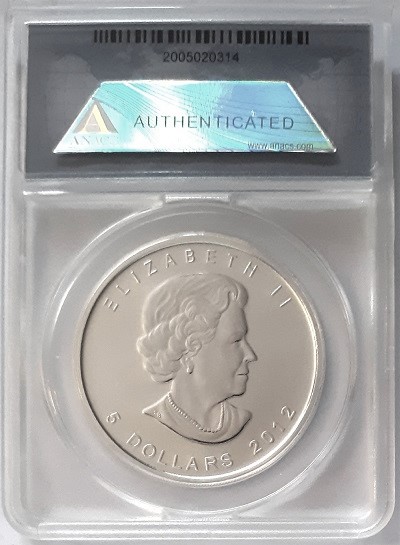 Continuing-List-To-Show-Everyones-Latest-Acquisitions