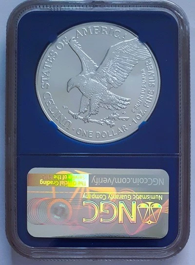 Continuing-List-To-Show-Everyones-Latest-Acquisitions