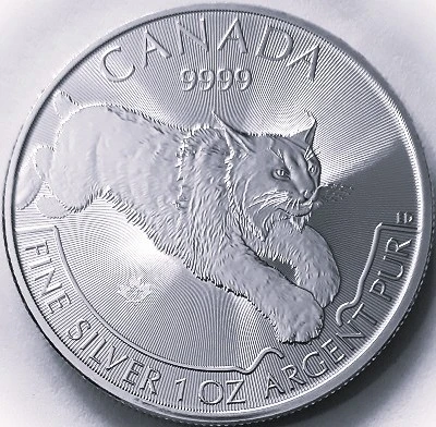 Post-Your-Coins-With-A-