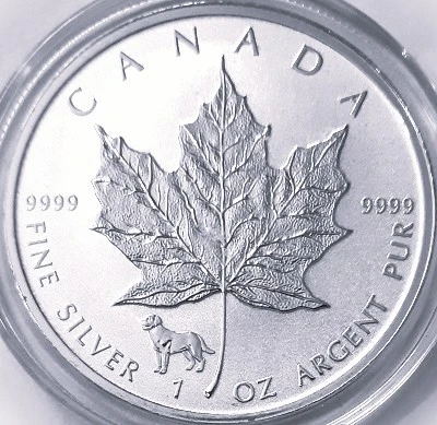 Post-Your-Coins-With-A-