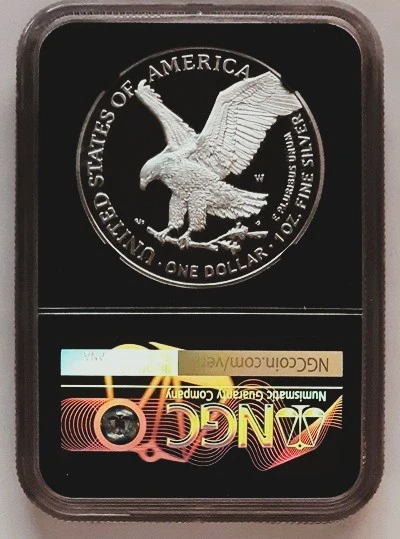 G-L-B-49's-American-Silver-Eagle-Collection