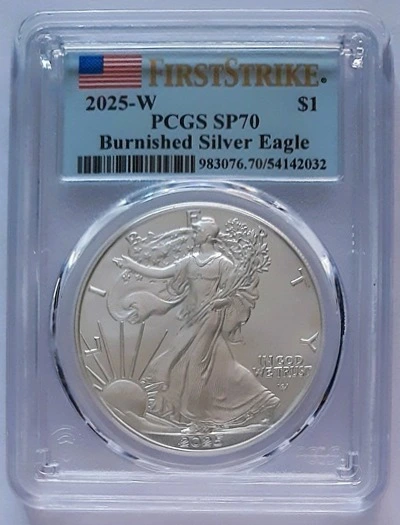 G-L-B-49's-Random-Silver-Coins