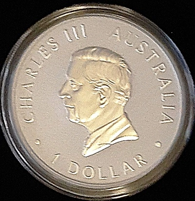Post-Your-Coins-Issued-By-The-Mint-As-Colourised-Coins.