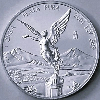 G-L-B-49's-Silver-Libertad-Collection