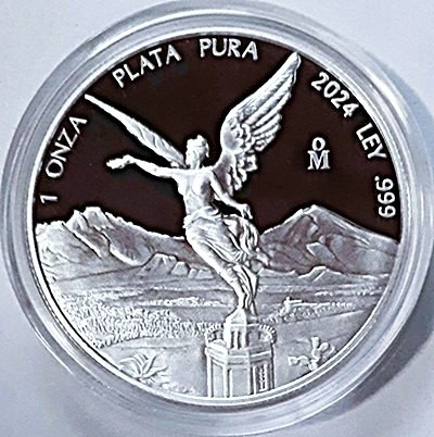 G-L-B-49's-Silver-Libertad-Collection