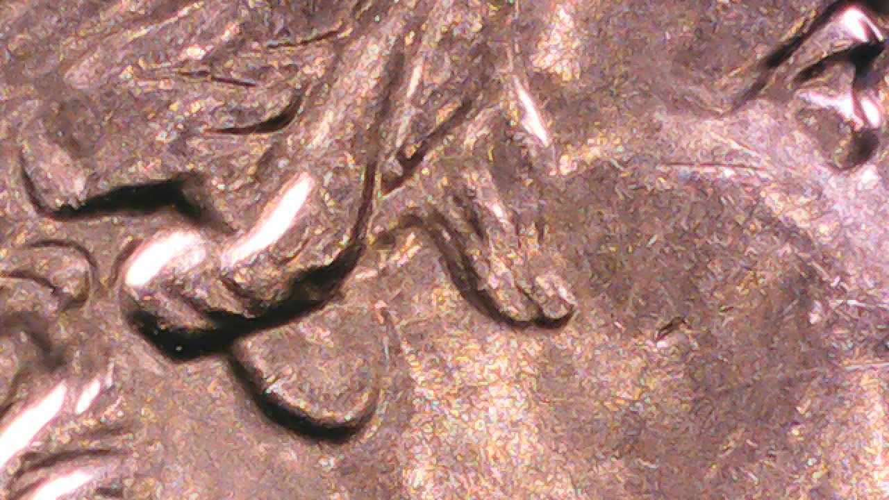 2024-P-Mary-Edwards-Qtr-DDO?