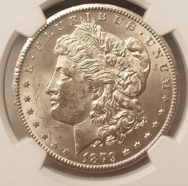 Guess-The-Grade!-1879-CC-Morgan