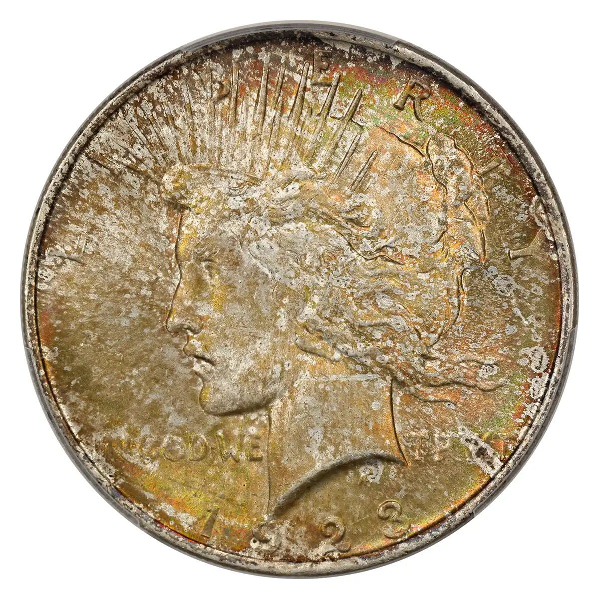 1923-Peace-Dollar-You-Vs-PCGS