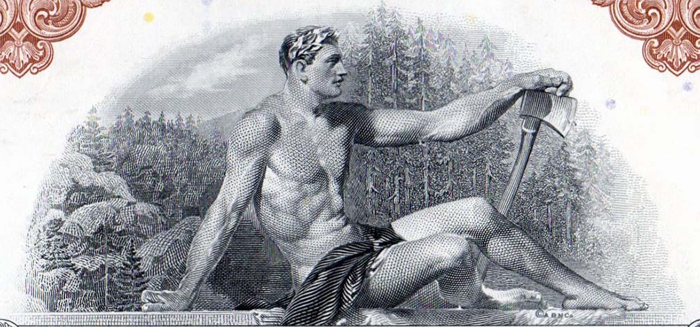 Into-The-Woods:-Forest-Products-Stocks-&-Bonds