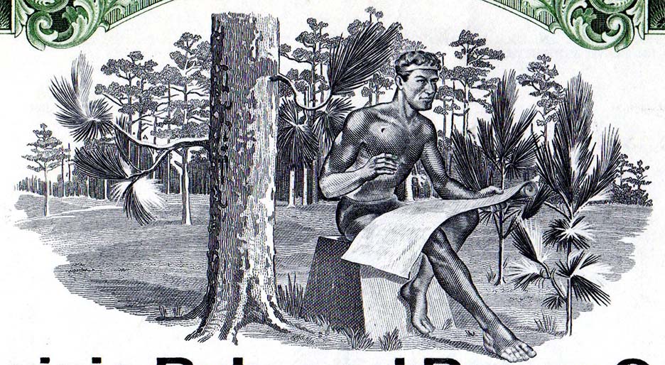 Into-The-Woods:-Forest-Products-Stocks-&-Bonds