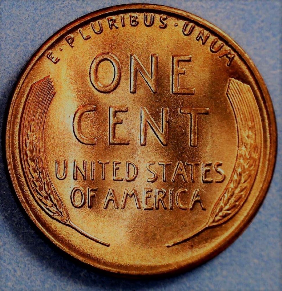 1954-S-Posted-In-December,-Just-Got-Grades-Back-From-PCGS-Will-Let-You-Guess