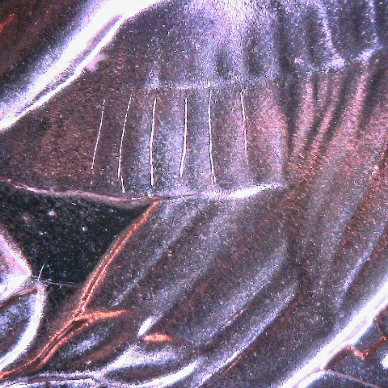 1953-Quarter-PR-67-FS-101-Questions-About-Feathers-And-RDV-002
