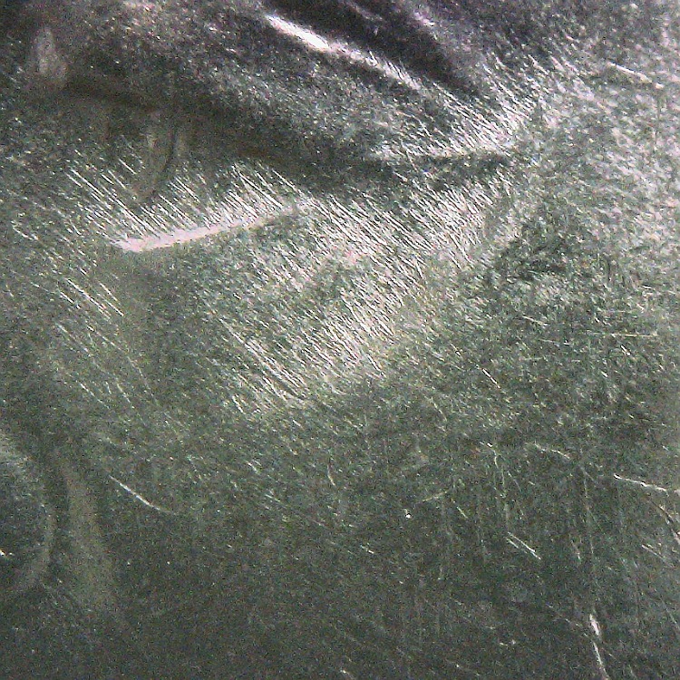 1971-D-Ike-Talon-Head-Leaf-Clash-Overpolished-Eye