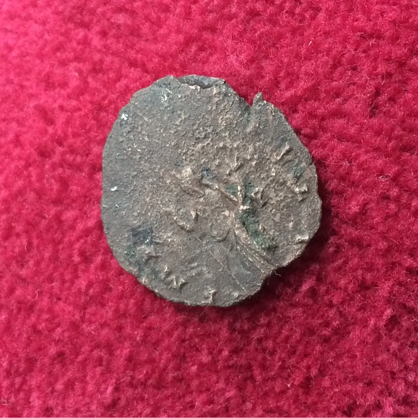 Need-Help-With-Antoninianus---Facial-Recognition?