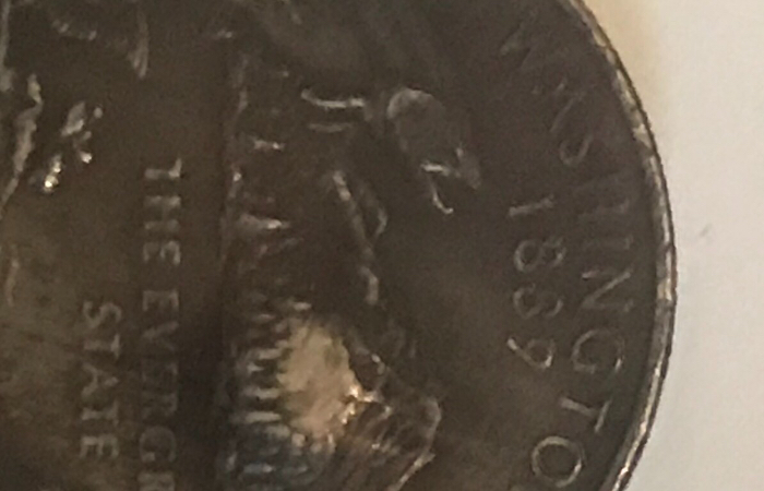 2007-Washington-State-Quarter-With-Bubble