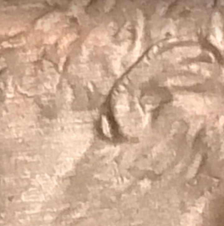 1-Cent-2000-D:-Is-It-A-Double-Ear?
