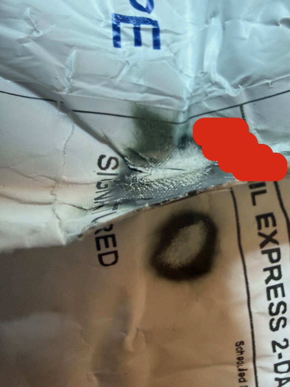 NGC-1955-DDO-Lincoln-Cent,-Case-Damaged-In-Transit.-Thoughts?