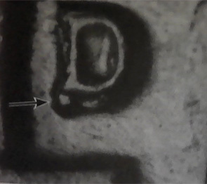 Cat-Finds-1964-D/D,-Or-MD-Nickel